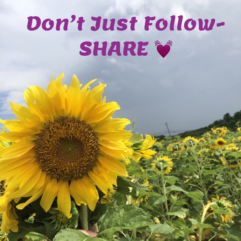 Sharing is caring 💞